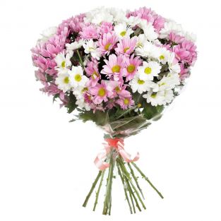 Букет из белых и розовых хризантем - купить с доставкой в по Долгопрудному
